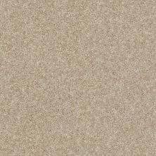Shaw Floors Simply The Best Virtual Gloss Gentle Taupe 00115_EA718