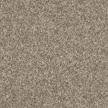 Shaw Floors Value Collections Breathe & Reflect Net Sugar Cookie 00101_EA720
