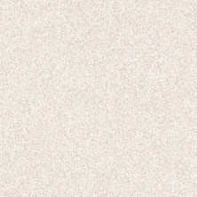 Shaw Floors Value Collections Exploration Net Stucco 00100_EA731