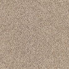 Shaw Floors Anso Colorwall Platinum Texture Accents Midtown 00182_EA760