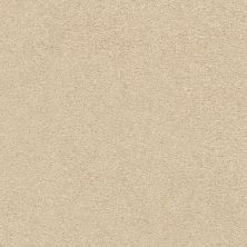 Shaw Floors SFA Find Your Comfort Ns I TEXTURE Sun Kissed (s) 110S_EA814
