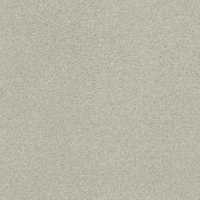 Shaw Floors SFA Find Your Comfort Ns I TEXTURE Willow Tree (s) 330S_EA814