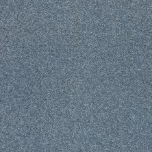 Shaw Floors SFA Find Your Comfort Ns I TEXTURE Lakeside Retreat (s) 413S_EA814