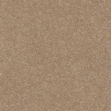 Shaw Floors SFA Find Your Comfort Ns II TEXTURE Falling Leaves (s) 720S_EA815