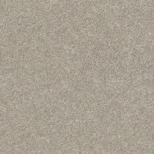 Shaw Floors SFA Find Your Comfort Ns II TEXTURE Back Patio (s) 724S_EA815