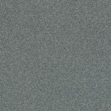 Shaw Floors SFA Find Your Comfort Ns Blue TEXTURE Cottage Garden (s) 308S_EA816