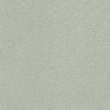 Shaw Floors SFA Find Your Comfort Ns Blue TEXTURE Willow Tree (s) 330S_EA816