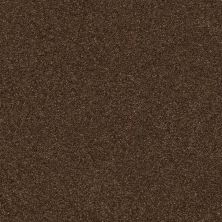 Shaw Floors SFA Find Your Comfort Ns Blue TEXTURE Chocolate Treat (s) 707S_EA816