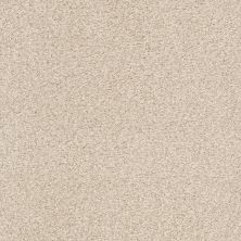 Shaw Floors SFA Find Your Comfort Tt I TEXTURE Happy Place (t) 123T_EA817