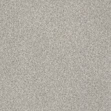 Shaw Floors SFA Find Your Comfort Tt I TEXTURE Restful Day (t) 512T_EA817