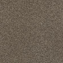 Shaw Floors SFA Find Your Comfort Tt I TEXTURE Summer House (t) 708T_EA817