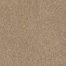 Shaw Floors SFA Find Your Comfort Tt I TEXTURE Falling Leaves (t) 720T_EA817