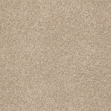 Shaw Floors SFA Find Your Comfort Tt I TEXTURE Walk On The Beach (t) 721T_EA817