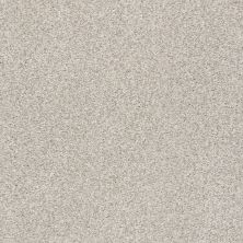 Shaw Floors SFA Find Your Comfort Tt II TEXTURE Chill In The Air (t) 126T_EA818