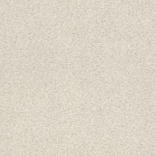 Shaw Floors SFA Find Your Comfort Tt II TEXTURE Champagne Toast (t) 153T_EA818