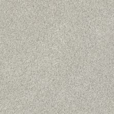 Shaw Floors SFA Find Your Comfort Tt II TEXTURE Refreshed (t) 515T_EA818