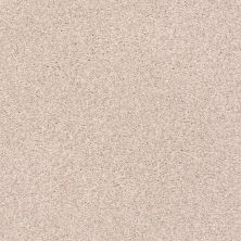 Shaw Floors SFA Find Your Comfort Tt II TEXTURE Soft Lullaby (t) 801T_EA818