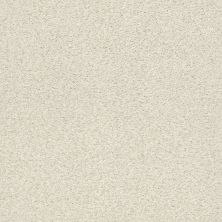 Shaw Floors SFA Find Your Comfort Tt Blue TEXTURE Champagne Toast (t) 153T_EA819