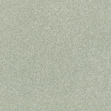 Shaw Floors SFA Find Your Comfort Tt Blue TEXTURE Willow Tree (t) 330T_EA819