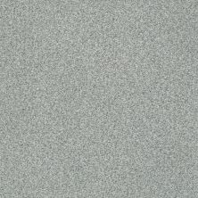 Shaw Floors SFA Find Your Comfort Tt Blue TEXTURE Restful Day (t) 512T_EA819