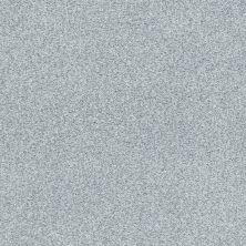 Shaw Floors SFA Find Your Comfort Tt Blue TEXTURE Polished Silver (t) 538T_EA819