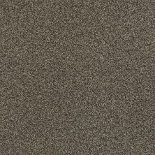 Shaw Floors SFA Find Your Comfort Tt Blue TEXTURE Summer House (t) 708T_EA819