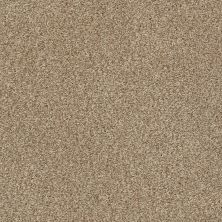 Shaw Floors SFA Find Your Comfort Tt Blue TEXTURE Falling Leaves (t) 720T_EA819