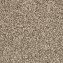 Shaw Floors SFA Find Your Comfort Tt Blue TEXTURE Camping Trip (t) 749T_EA819