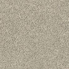 Shaw Floors SFA Find Your Comfort Ta I TEXTURE Online Date (a) 188A_EA820