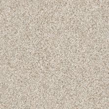 Shaw Floors SFA Find Your Comfort Ta I TEXTURE New Perspective (a) 193A_EA820