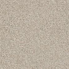 Shaw Floors SFA Find Your Comfort Ta II TEXTURE Stage Lights (a) 190A_EA821