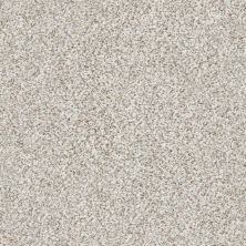 Shaw Floors SFA Find Your Comfort Ta II TEXTURE New Perspective (a) 193A_EA821