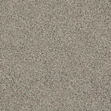 Shaw Floors SFA Find Your Comfort Ta II TEXTURE All Aboard (a) 570A_EA821