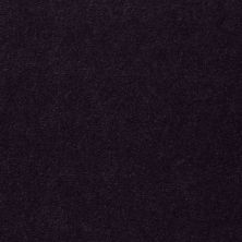 Philadelphia Commercial Equity Baytowne III 30 Tuscan Plum