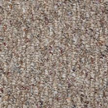 Shaw Floors Roll Special Ev351 Olive Branch 00703_EV351
