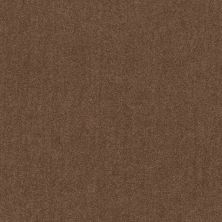 Shaw Floors Roll Special Ev426 Dark Taupe 26791_EV426