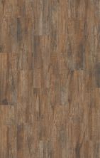 Shaw Floors Ftg Ceramic Pioneer Plantation Plank Brown 00700_FG24A