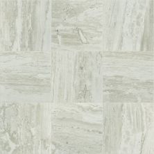 Shaw Floors Ftg Ceramic Quail Run 13 Agate 00500_FG26A