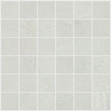 Shaw Floors Abbey Ceramic Ridgemont Mosaic White 00100_FG56A