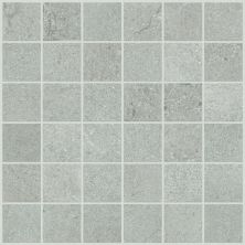 Shaw Floors Abbey Ceramic Ridgemont Mosaic Grey 00500_FG56A