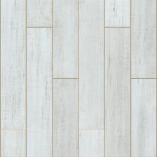 Shaw Floors Ftg Ceramic Lakeport Lane 6×36 Powder 00200_FG58A