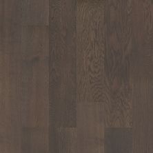 Shaw Floors Floorte Exquisite Blackened Oak 07090_FH813