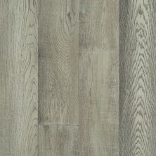 Shaw Floors Floorte Exquisite Silverado Oak 05065_FH820