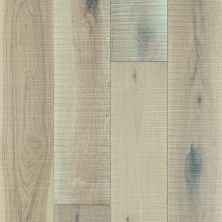 Shaw Floors Floorte Magnificent Frosted Hickory 01056_FH821