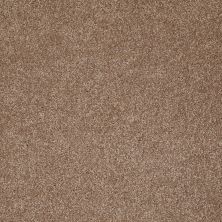 Shaw Floors Trenton Heights Acorn 00700_FQ279