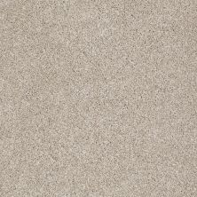 Shaw Floors Trenton Heights Cork Board 00711_FQ279