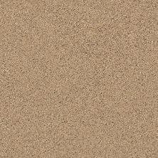 Shaw Floors Sorin I Bridle Leather 00270_FQ411