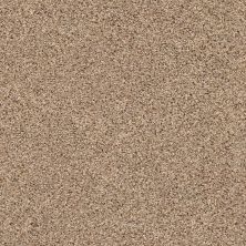 Shaw Floors Sorin II Arrowhead 00770_FQ412