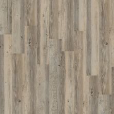 Shaw Floors Resilient Residential Creekmore 6 Plank Lancaster 00520_FR258