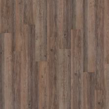 Shaw Floors Resilient Residential Creekmore 6 Plank Breckenridge 00722_FR258